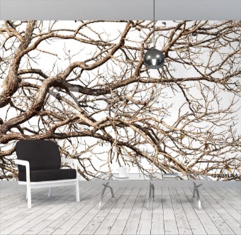 Picture of Tree twigs with bare trunks and branches